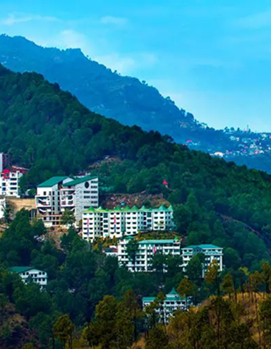 Shoolini University